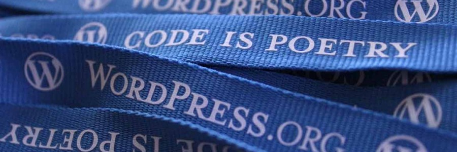 Vi skaffer deg nytt <br>nettsted med WordPress